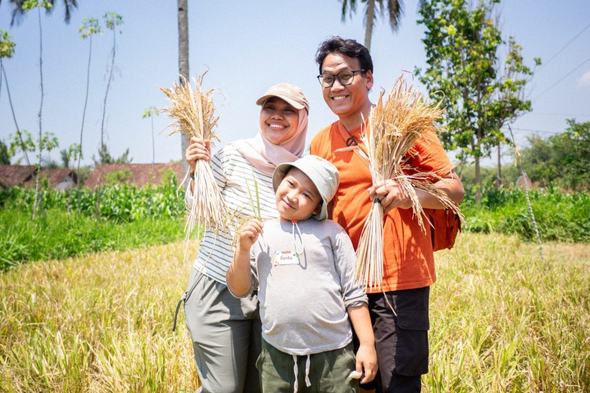 perjalanan sebutir nasi