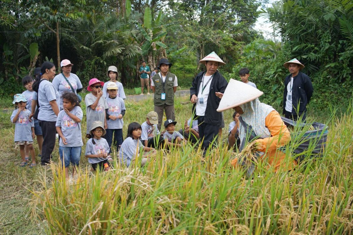 Wisata Pertanian untuk anak di Jogja