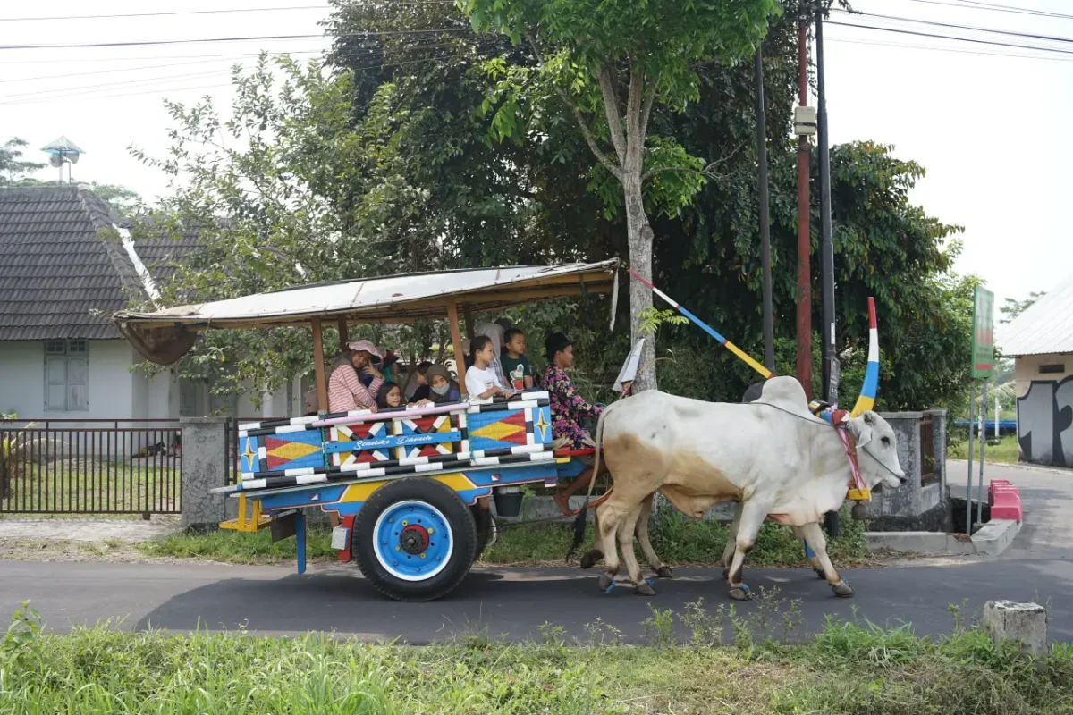 Tour Operator Ramah Anak di Yogyakarta
