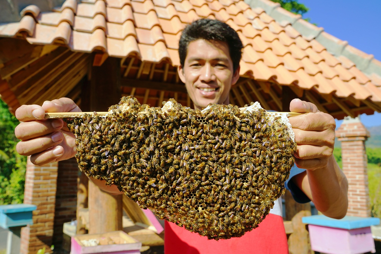 storytelling di desa wisata